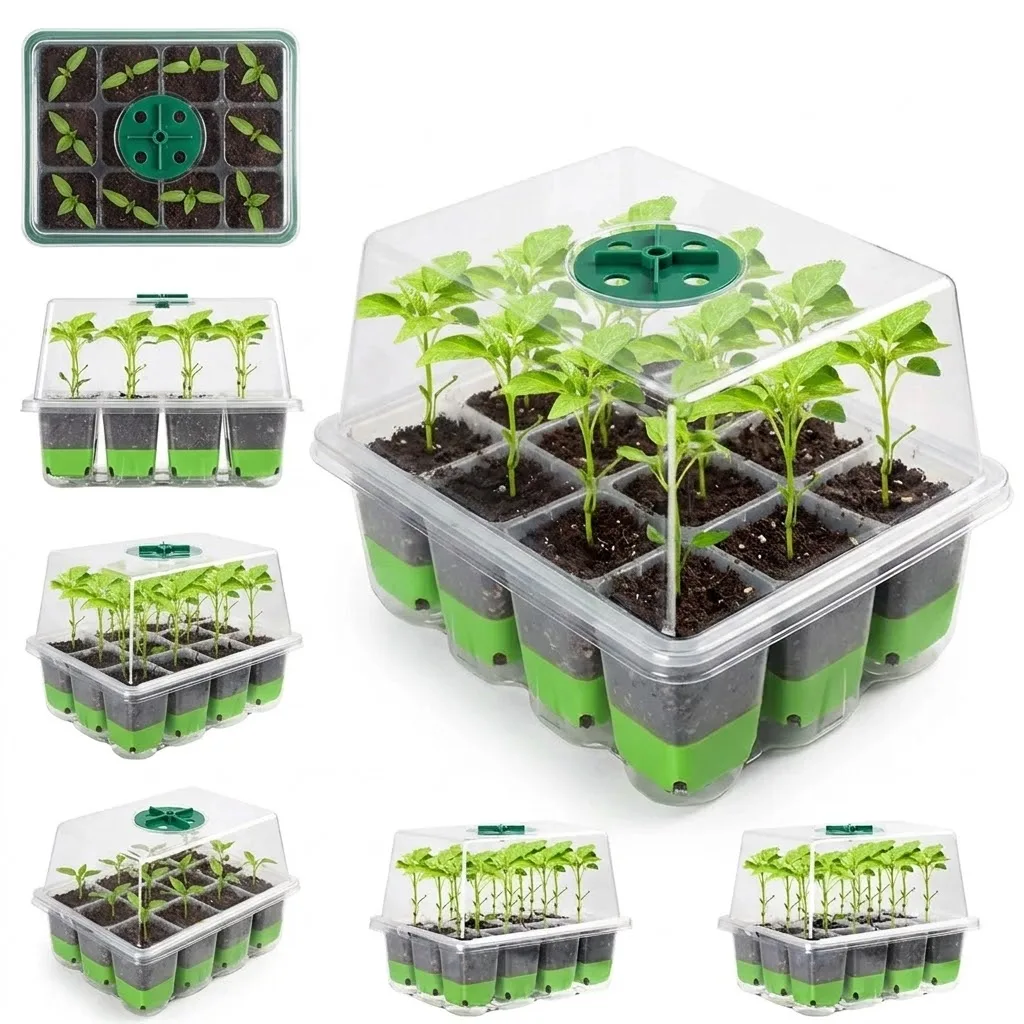 Food Storage Plants - 투명 덮개와 조절 가능한 습도 조절