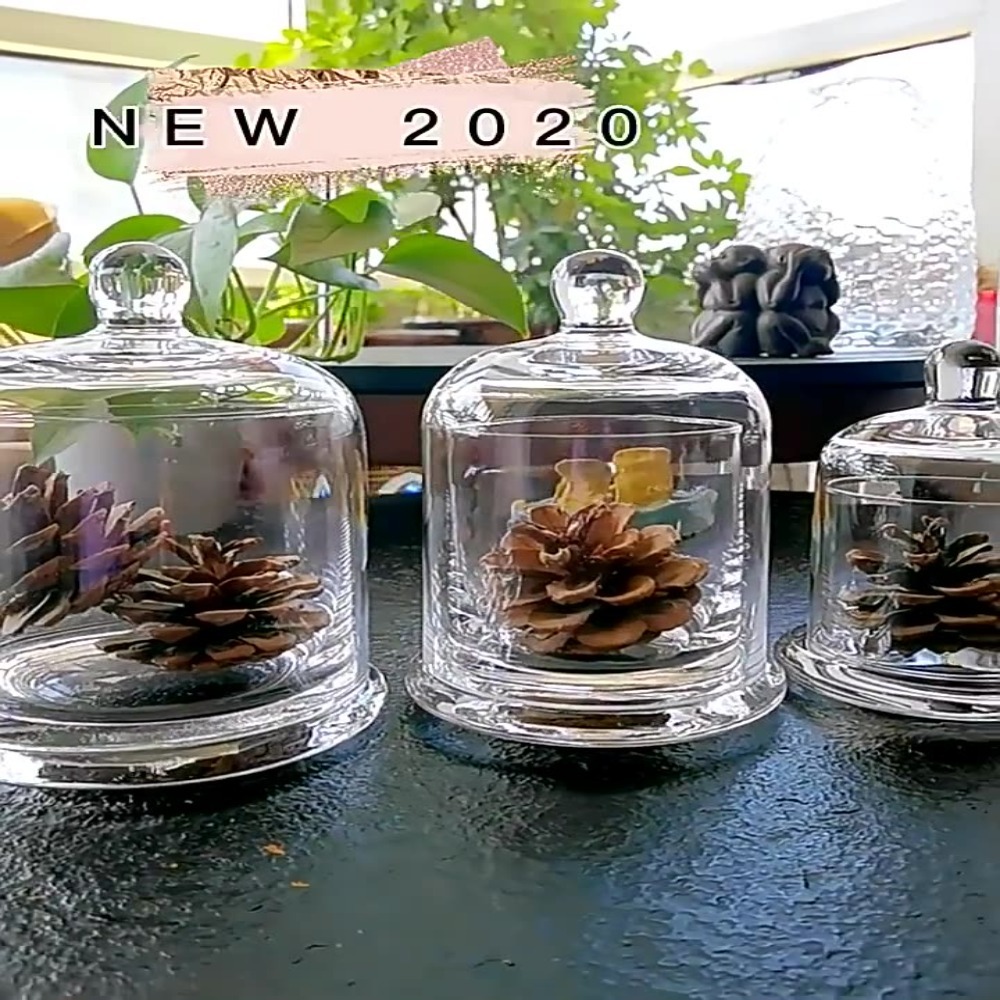 Food Storage Plants - 유리 보관 용기, 영원한 생명의 꽃,