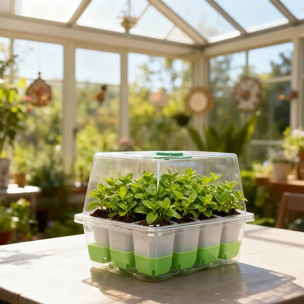 투명 덮개와 조절 가능한 습도 조절 기능이 있는 12구 - Food Storage Plants 리뷰 및 가격
