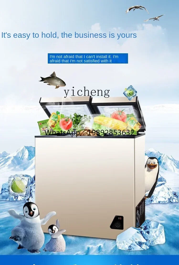 가정용 소형 미니 절전형 무서리 이중 용도 냉장고 냉동 - Food Storage And Temperature 리뷰 및 가격