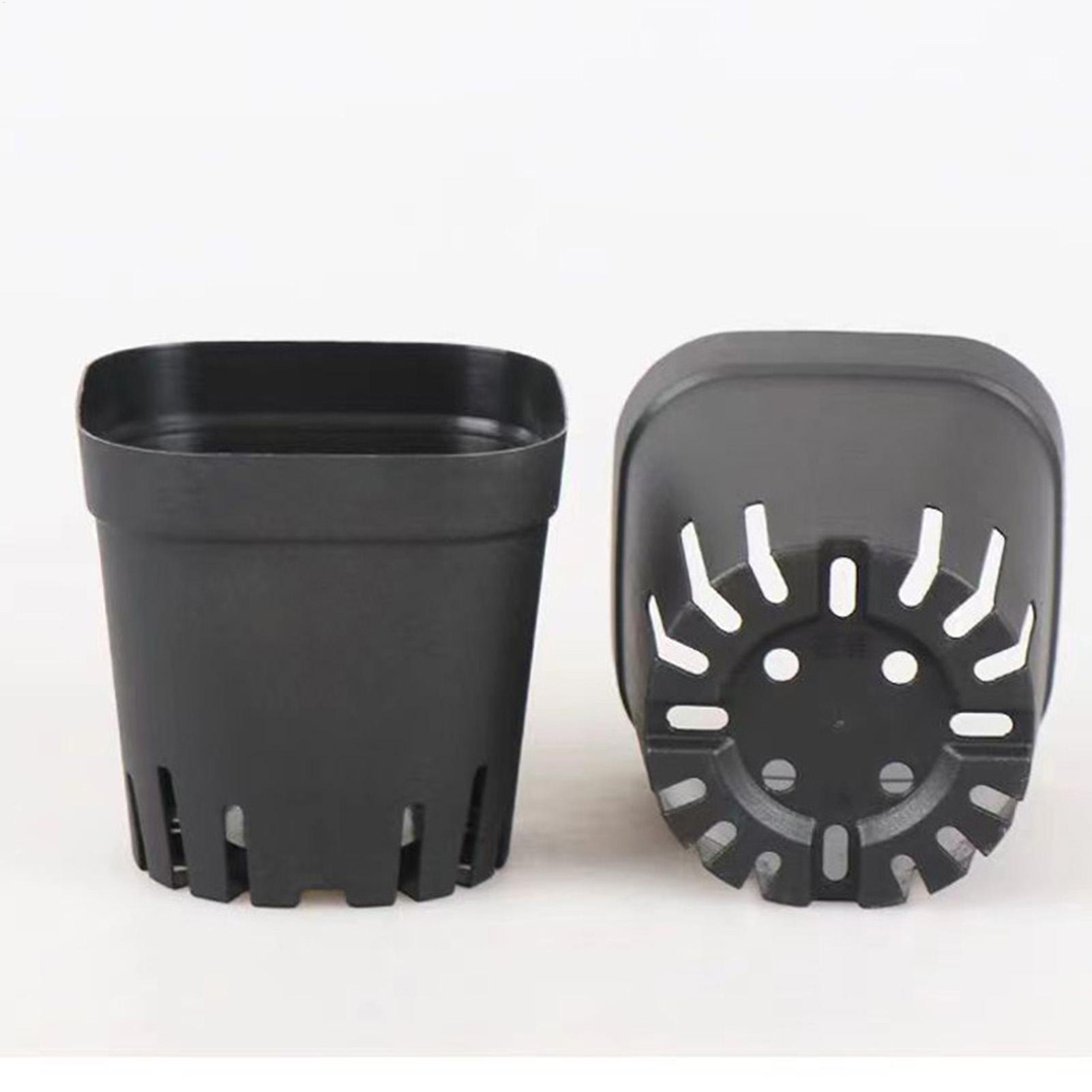 5.5cm/7cm/10cm 재사용 가능한 검정색 사각  - Food Storage Plants 리뷰 및 가격