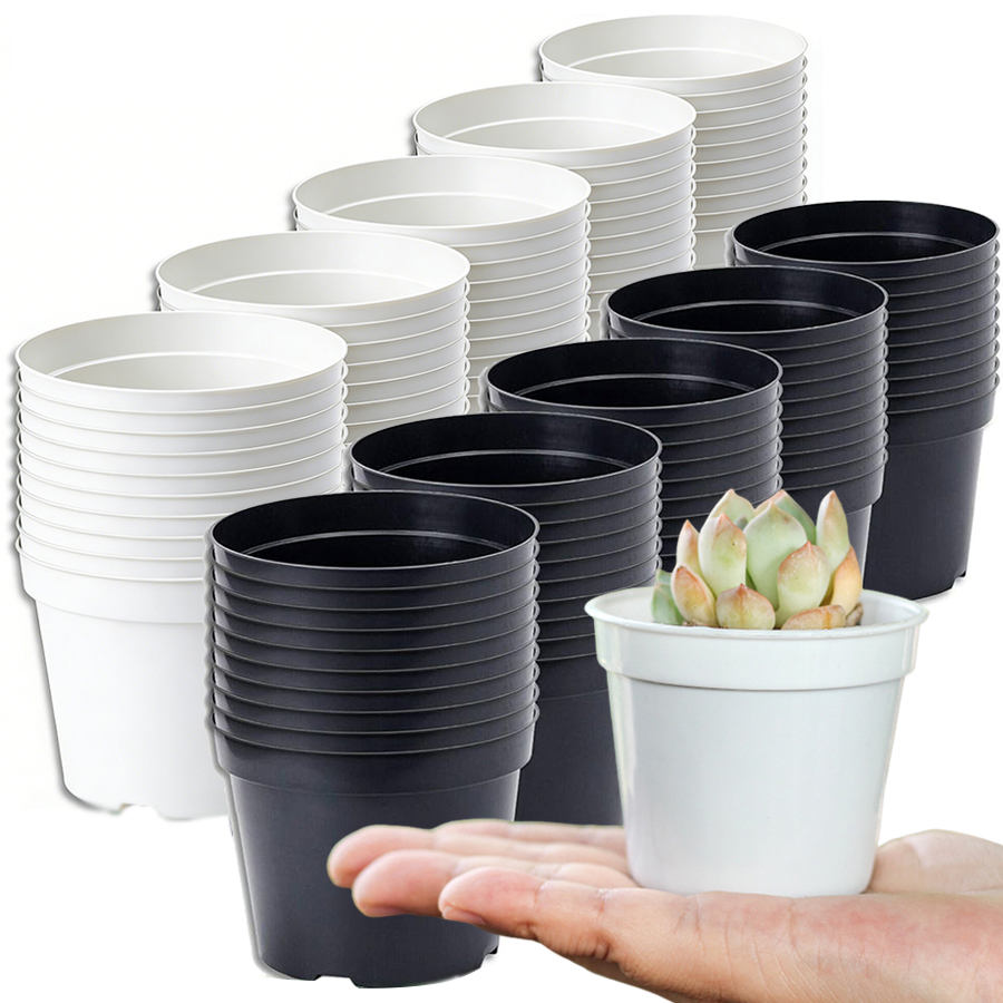 12/20개 미니 원형 플라스틱 다육식물 화분, 실내  - Food Storage Plants 리뷰 및 가격