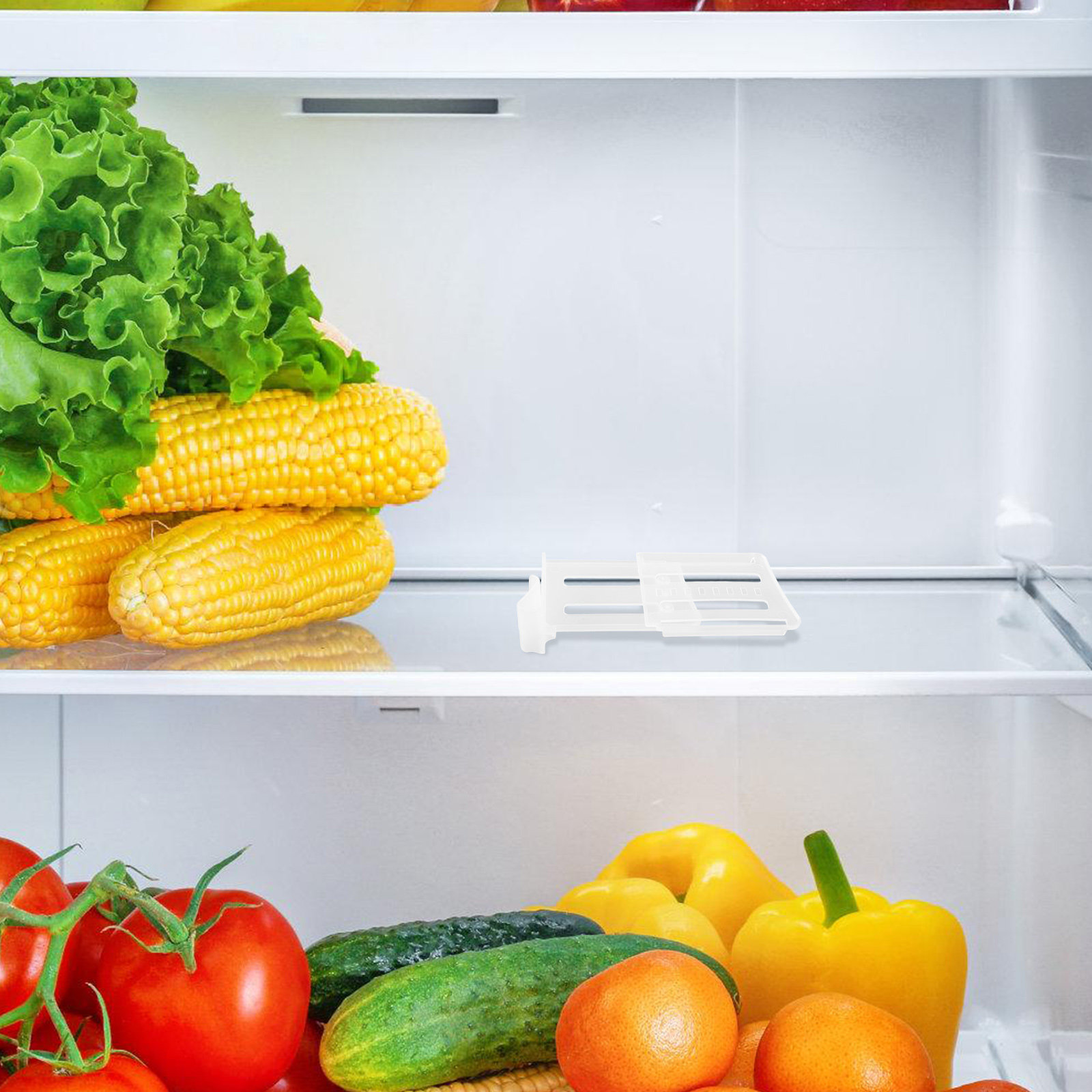 8개입 냉장고 측면 도어 분리대 교체 가능한 가정용 냉 - Food Storage Refrigerator 리뷰 및 가격