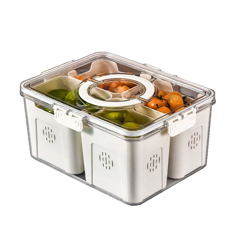대형 피크닉 냉장고 음식 보관용 과일 트레이, 주방용  - Food Storage Refrigerator 리뷰 및 가격