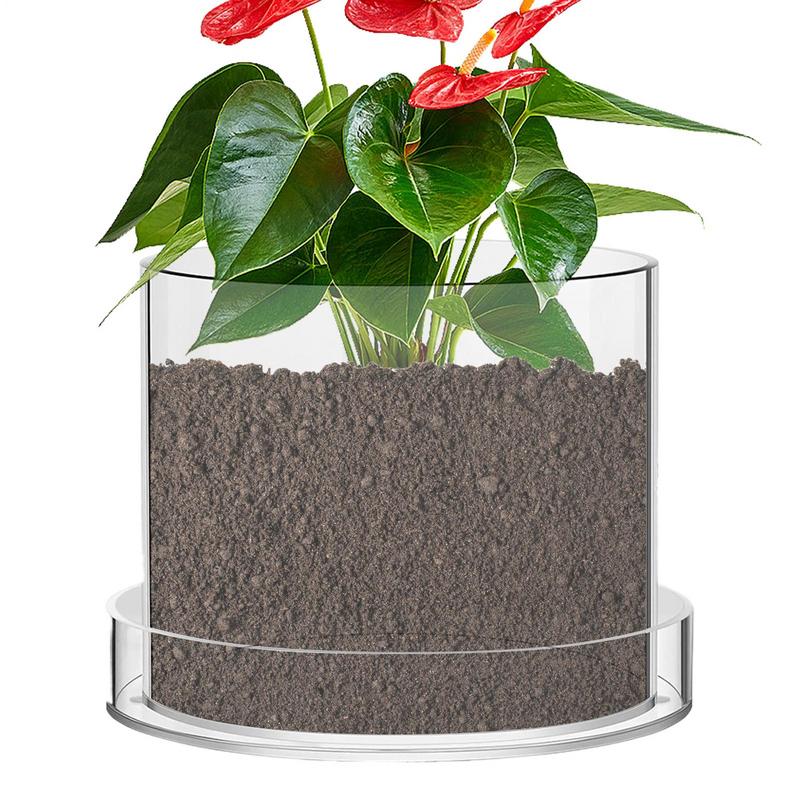 배수구가 있는 투명한 화분 식물용 투명 화분 용기 재배 - Food Storage Plants 리뷰 및 가격