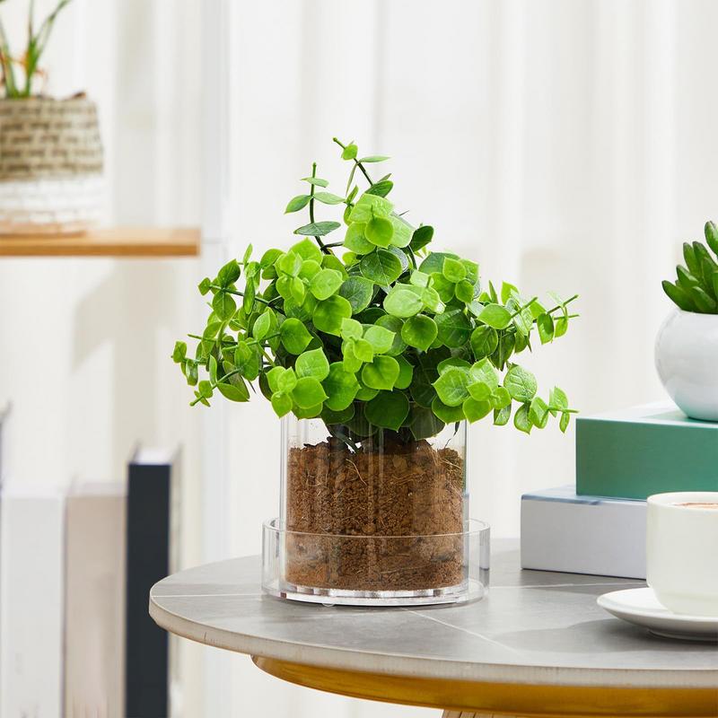 배수구가 있는 투명한 화분 식물용 투명 화분 용기 재배 - Food Storage Plants 리뷰 및 가격