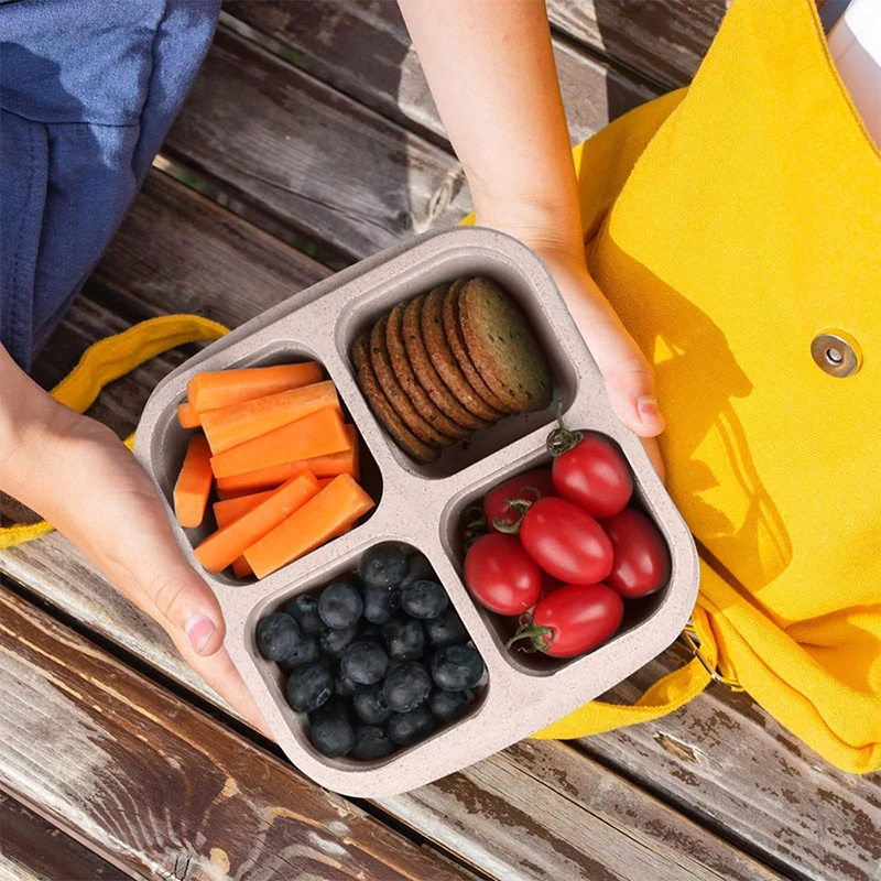 휴대용 식품 보관함, 냉장고 냉동고 정리함, 야채 과일 - Food Storage Refrigerator 리뷰 및 가격