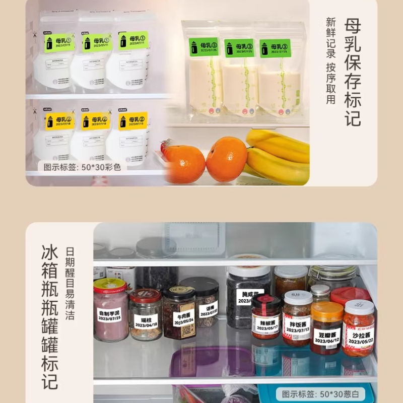 NIIMBOT B1/B2/B21/B31/B4/B203/ - Food Storage And Temperature 리뷰 및 가격
