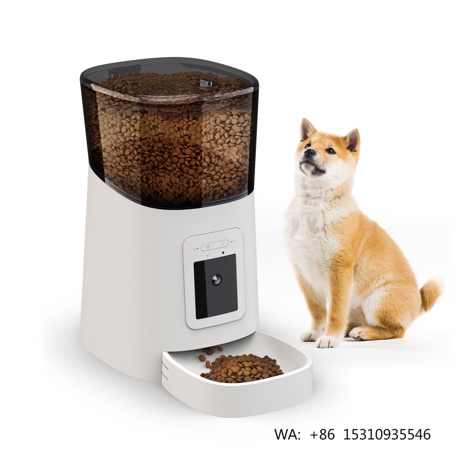2024년 베스트셀러 스테인리스 스틸 고양이 스마트 자 - Best Food Storage 리뷰 및 가격