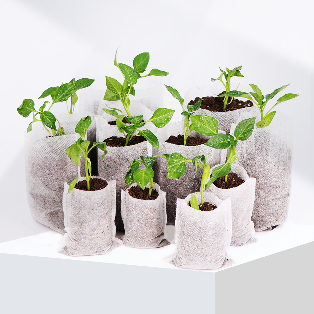 생분해 부직포 보육 식물 재배 가방, 묘목 재배 화분  - Food Storage Plants 리뷰 및 가격