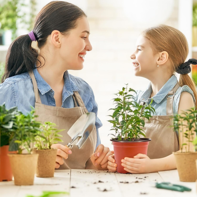 유연한 플라스틱 묘목 화분 4-6인치 75-150개 개 - Food Storage Plants 리뷰 및 가격