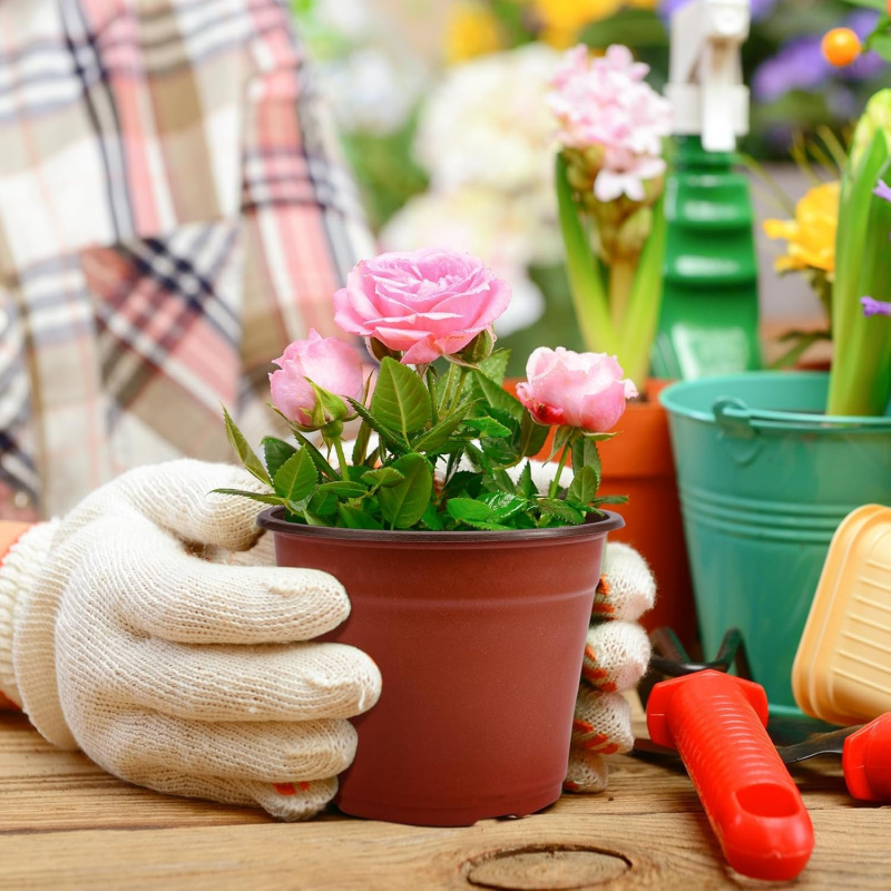 유연한 플라스틱 묘목 화분 4-6인치 75-150개 개 - Food Storage Plants 리뷰 및 가격