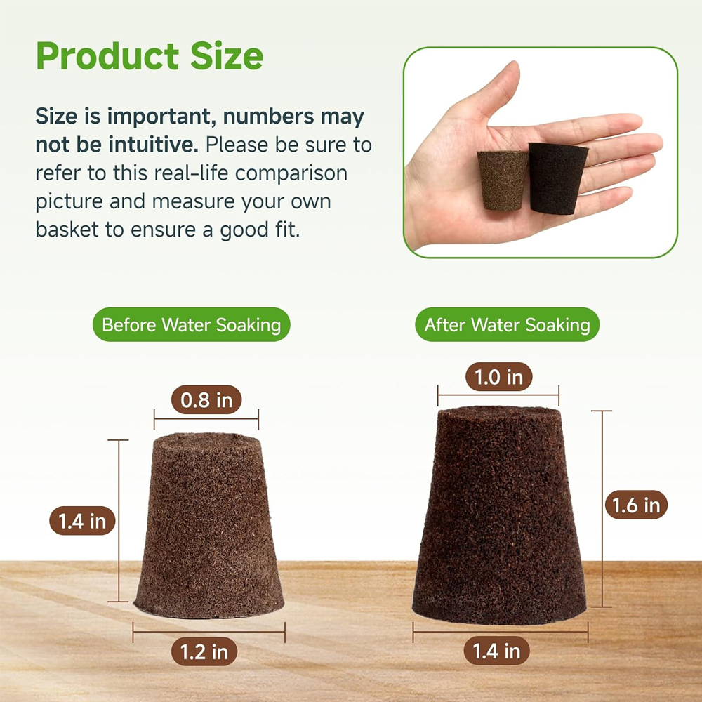 20개의 수경재배용 스펀지, 빠른 뿌리 교체를 위한 씨 - Food Storage Plants 리뷰 및 가격