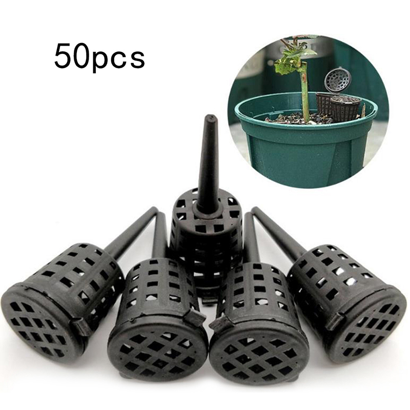 화분용 식물 비료 바구니, 분재 난초, 50 개/팩 - Food Storage Plants 리뷰 및 가격