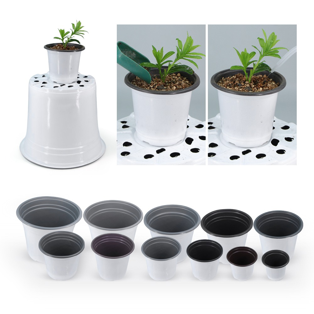 정원 재배용 흰색 플라스틱 화분, 다육 식물 화분, 통 - Food Storage Plants 리뷰 및 가격